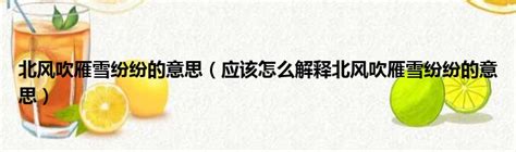 北風北的意思|北風 的意思、解釋、用法、例句